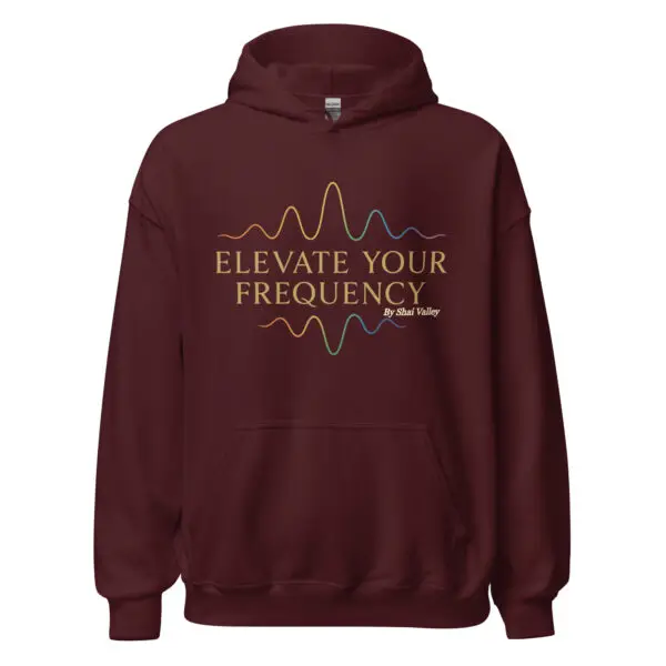 Shai Valley | Elevate Your Frequency Hoodie 8 unisex heavy blend hoodie maroon front 695bf56737680